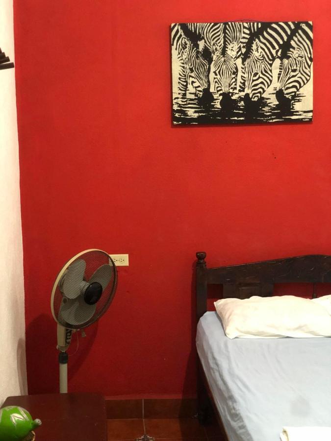 לאון Hostal Vacaciones Nicas מראה חיצוני תמונה